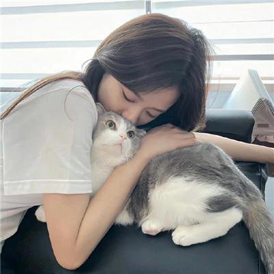 帝王蝶之子