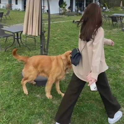 不了情